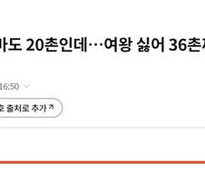 브래드 피트 오바마도 20촌인데…여왕 싫어 36촌까지