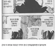 천년혈전 석두때문에 일어난 일 맞음