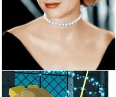 디즈니 만화 실제모델