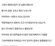 K-러다이트 운동