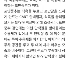 배가 자주고픈 이유