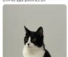 "저 놈은 왜 주구장창 여기 있는 거지?"