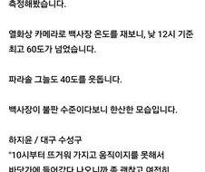 부산 백사장 온도 ㄷㄷㄷ