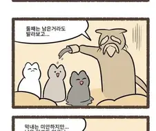 고양이 털 색깔을 정하는 방법.manhwa