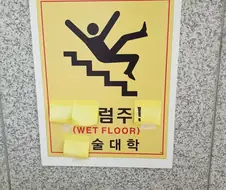 의외로 한국에 존재한다는 대학교와 전공