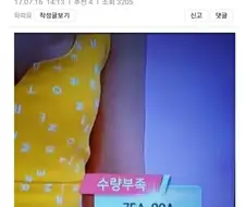 자료로 보는 한국 여자의 평균 가슴 사이즈