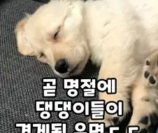 명절이 되면 가장 고생하는 분들