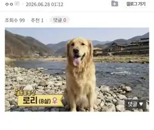 옷 안입고 강에 간 8살 로리