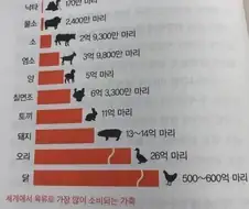 세계적으로는 메이저지만 한국에서는 드문 고기.JPG