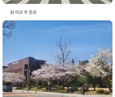 충북대생의 기울어진 캠퍼스 폭로