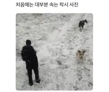 대부분 속는 착시 사진