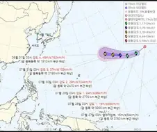 돌핀 너이새키 화이팅