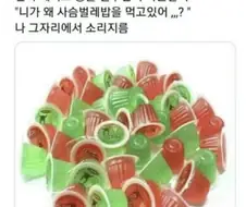 추억의 제리뽀 대참사