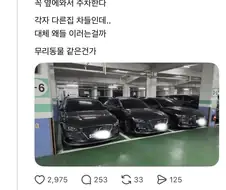 주차장에서 볼 수 있는 무리의식.jpg