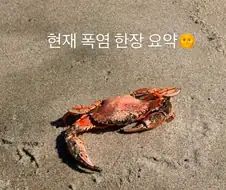 맛있어져라 모에모에뀽♡