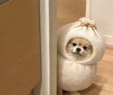 니들 만두 남기지 말고 꼭 다 먹어라...