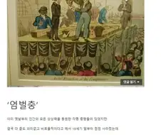 엄벌충이 이해가 안간다는 디시인.jpg
