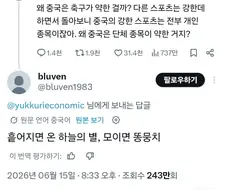 시적 표현으로 유명한 중국 네티즌들