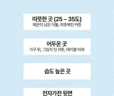 모기 무조건 잡는 방법
