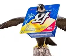 와 몸 매 봐라 ㅋㅋㅋㅋ