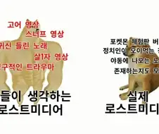 로스트 미디어 특