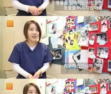 유기동물 팩트