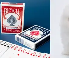 국제 정세 요약