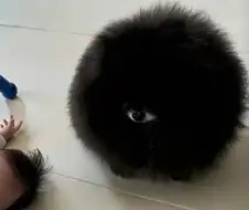 무시무시한 외눈박이 생명체