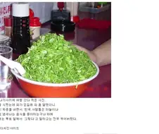 일본 라멘집에서 파 좀 달라고 한 디시인