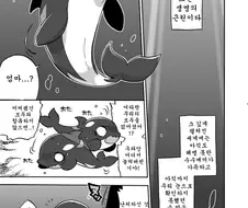 [ㅎㅂ인가?]범고래짱 Manhwa