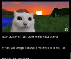 여자들이 고추 큰 남성을 왜 좋아하는지 알게된 디시인