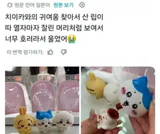 뭔가 많이 잘못된 치이카와 틴트 디자인