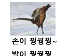 와 연휴 끝나니까 바깥 날씨 진짜