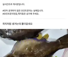 제주도에서 물고기 잡은 사람
