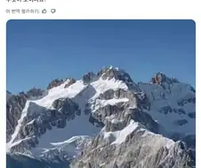 우뇌형 인간이라면 고래가 좌뇌형 인간이라면 기린이 보입니다.