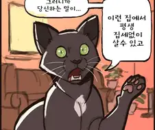 너에겐 선택지가 있어