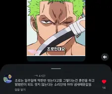 원피스 루피가 한번도 조로를 껴안은적이 없는 이유