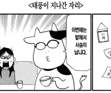 태풍이 지난 뒤의 홋카이도