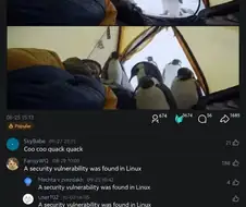 리눅스가 보안취약점을 발견했습니다