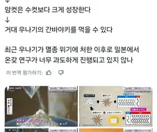 일본의 음란한 TS장어 양식법.jpg