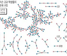 미국 한 고등학교에서 조사된 성관계 분포도