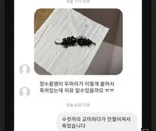 모텔서 남성 두명 교미중 사망.. 모텔주인이 발견해