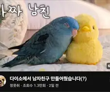 내 남친이라능