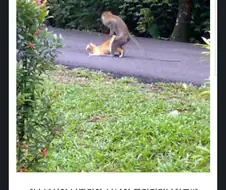 은근히 꼴리는 망가 시츄에이션