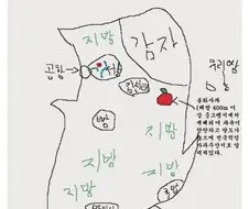 작성자의 고향이 어디인지 한눈에 알 수 있는 지도 ㅋㅋㅋㅋㅋㅋ