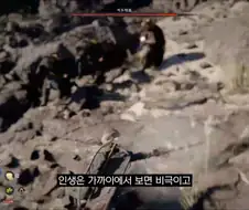 8만원짜리 항아리게임이 된 붉은사막