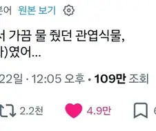 조화에도 생명은 있으니까요.x