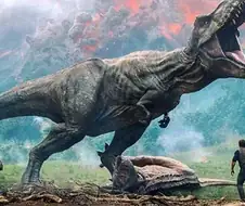 진짜 영화때문에 흉폭하다고 오해받은 대표적 동물들.jpg