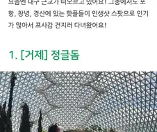 ＇대구 근교＇라매요 ㅅㅂ