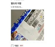 팔도의 지령